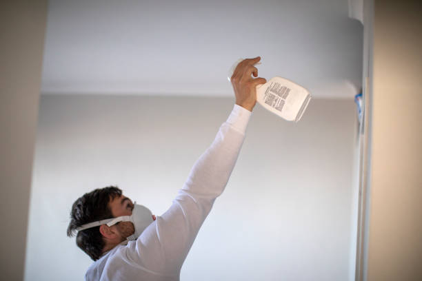 Best Mold Cleaning Services  in Reidsville, NC